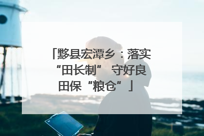 黟县宏潭乡：落实“田长制” 守好良田保“粮仓”