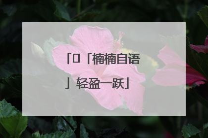 ﻿「楠楠自语」轻盈一跃