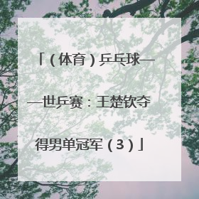 （体育）乒乓球——世乒赛：王楚钦夺得男单冠军（3）