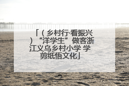 （乡村行·看振兴）“洋学生”做客浙江义乌乡村小学 学剪纸悟文化