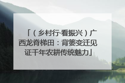 （乡村行·看振兴）广西龙脊梯田：背篓变迁见证千年农耕传统魅力