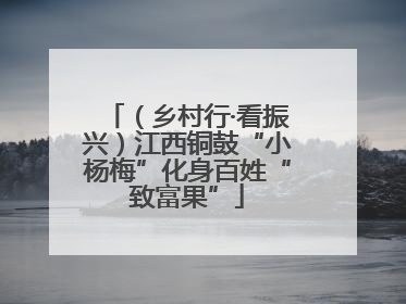 （乡村行·看振兴）江西铜鼓“小杨梅”化身百姓“致富果”