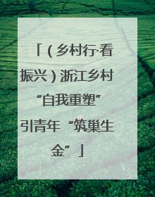 （乡村行·看振兴）浙江乡村“自我重塑” 引青年“筑巢生金”