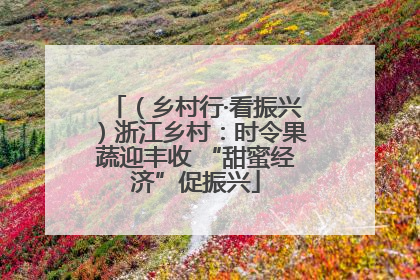 （乡村行·看振兴）浙江乡村：时令果蔬迎丰收 “甜蜜经济”促振兴