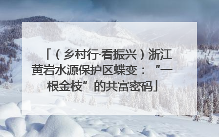 （乡村行·看振兴）浙江黄岩水源保护区蝶变：“一根金枝”的共富密码