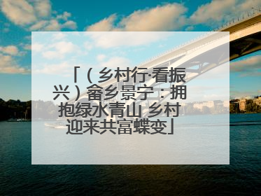（乡村行·看振兴）畲乡景宁：拥抱绿水青山 乡村迎来共富蝶变