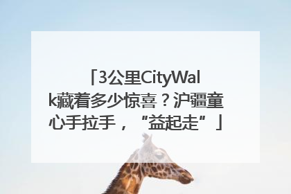 3公里CityWalk藏着多少惊喜？沪疆童心手拉手，“益起走”