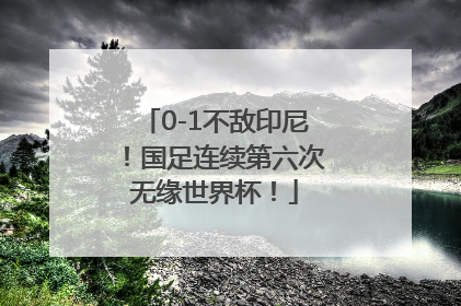 0-1不敌印尼！国足连续第六次无缘世界杯！