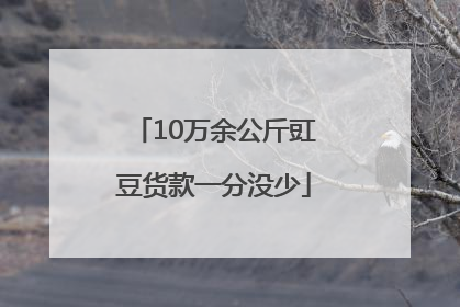 10万余公斤豇豆货款一分没少