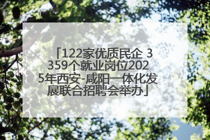 122家优质民企 3359个就业岗位2025年西安-咸阳一体化发展联合招聘会举办