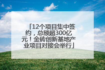 12个项目集中签约，总额超300亿元！金砖创新基地产业项目对接会举行