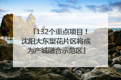 132个重点项目！沈阳大东望花片区将成为产城融合示范区