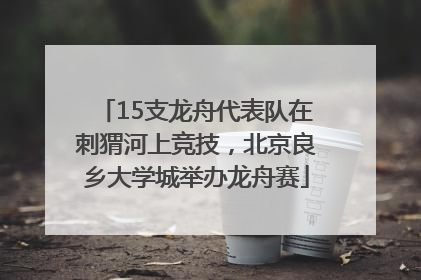 15支龙舟代表队在刺猬河上竞技，北京良乡大学城举办龙舟赛