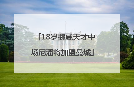 18岁挪威天才中场尼潘将加盟曼城