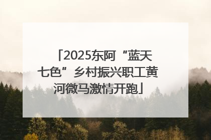 2025东阿“蓝天七色”乡村振兴职工黄河微马激情开跑