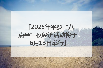 2025年平罗“八点半”夜经济活动将于6月13日举行