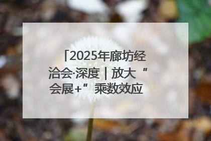 2025年廊坊经洽会·深度｜放大“会展+”乘数效应 打造消费新场景