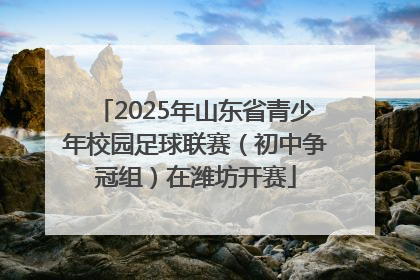 2025年山东省青少年校园足球联赛（初中争冠组）在潍坊开赛