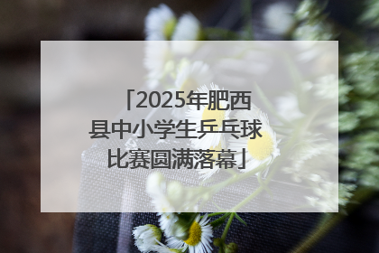 2025年肥西县中小学生乒乓球比赛圆满落幕