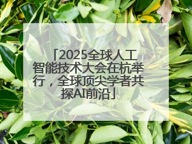2025全球人工智能技术大会在杭举行，全球顶尖学者共探AI前沿