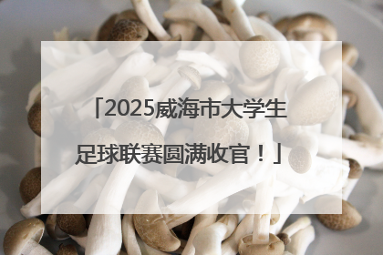 2025威海市大学生足球联赛圆满收官！