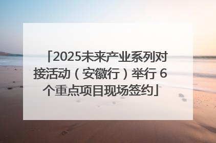 2025未来产业系列对接活动（安徽行）举行 6个重点项目现场签约