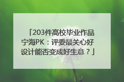 203件高校毕业作品宁海PK：评委最关心好设计能否变成好生意？