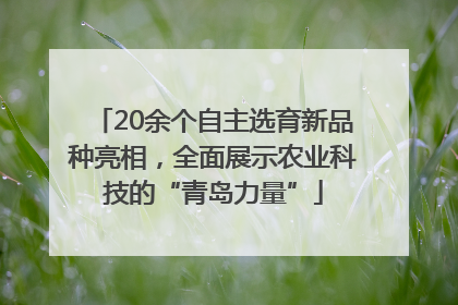 20余个自主选育新品种亮相，全面展示农业科技的“青岛力量”