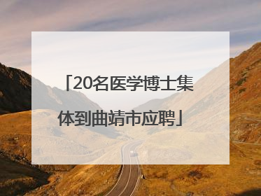 20名医学博士集体到曲靖市应聘