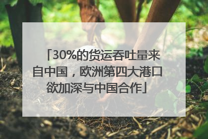 30%的货运吞吐量来自中国，欧洲第四大港口欲加深与中国合作