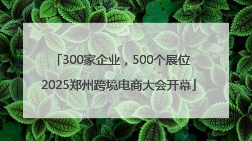 300家企业，500个展位 2025郑州跨境电商大会开幕