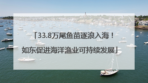 33.8万尾鱼苗逐浪入海！如东促进海洋渔业可持续发展