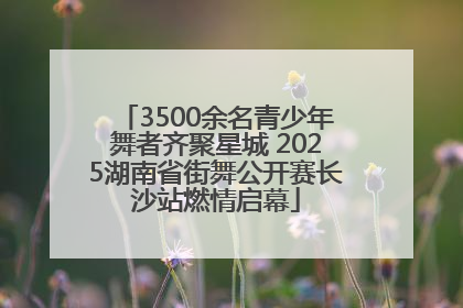 3500余名青少年舞者齐聚星城 2025湖南省街舞公开赛长沙站燃情启幕