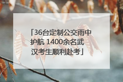 36台定制公交雨中护航 1400余名武汉考生顺利赴考