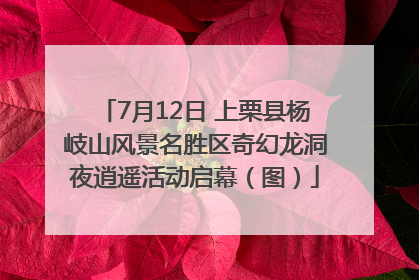 7月12日 上栗县杨岐山风景名胜区奇幻龙洞夜逍遥活动启幕（图）
