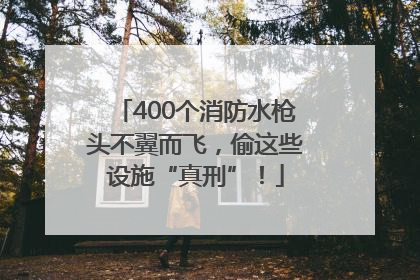 400个消防水枪头不翼而飞，偷这些设施“真刑”！