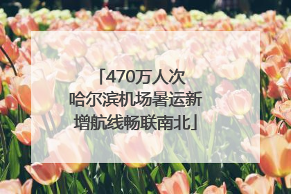 470万人次 哈尔滨机场暑运新增航线畅联南北