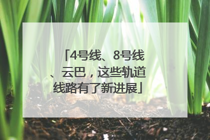 4号线、8号线、云巴，这些轨道线路有了新进展