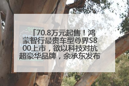 70.8万元起售！鸿蒙智行最贵车型尊界S800上市，欲以科技对抗超豪华品牌，余承东发布会未提及迈巴赫