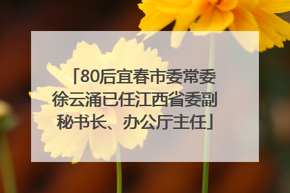 80后宜春市委常委徐云涌已任江西省委副秘书长、办公厅主任