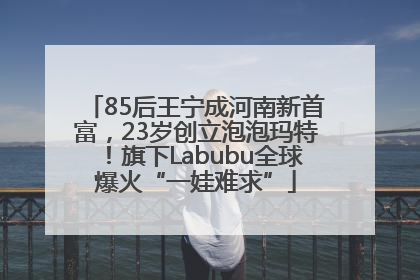 85后王宁成河南新首富，23岁创立泡泡玛特！旗下Labubu全球爆火“一娃难求”