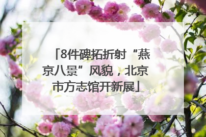 8件碑拓折射“燕京八景”风貌，北京市方志馆开新展
