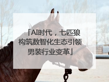 AI时代，七匹狼构筑数智化生态引领男装行业变革