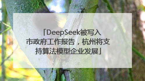 DeepSeek被写入市政府工作报告，杭州将支持算法模型企业发展