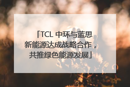 TCL 中环与蓝思新能源达成战略合作，共推绿色能源发展